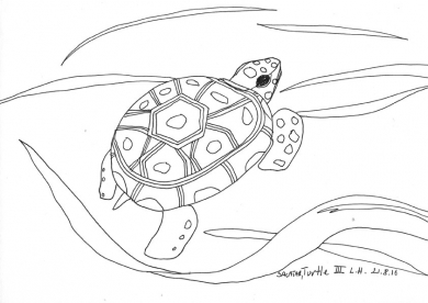 Turtle III